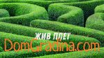 Умен Дом и Още По-Умна Градина: Как Технологиите Променят Нашият Живот
